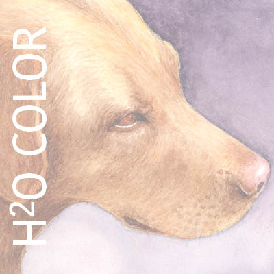 dark yellow lab painted in watercolor