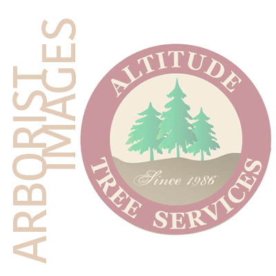 Altitude Tree Services Logo